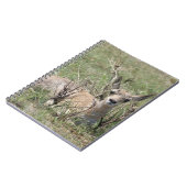 Carnet A7 Bébé Antilope Pronghorn (Côté gauche)