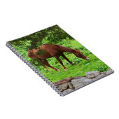 Carnet à cheval (Côté Droit)