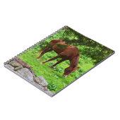 Carnet à cheval (Côté gauche)