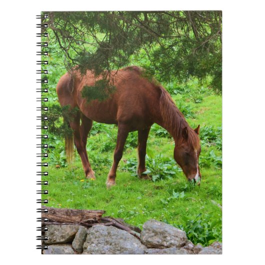 Carnet à cheval (Devant)