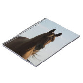 Carnet à cheval (Côté gauche)