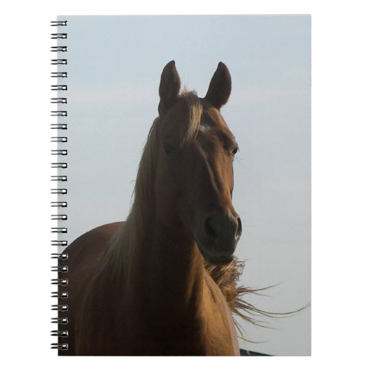 Carnet à cheval (Devant)