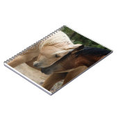 Carnet à chevaux sauvages (Côté gauche)