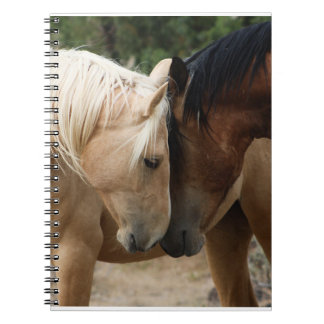 Carnet à chevaux sauvages