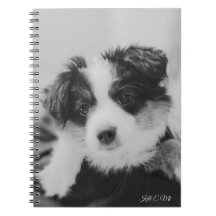 Carnet à chiot