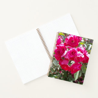 Carnet à Feuilles Mobiles Roses Glamour