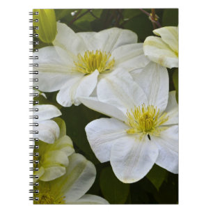 Carnet à fleurs