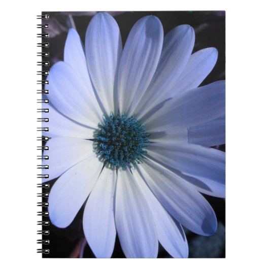 Carnet à fleurs bleu marais (Devant)