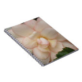 Carnet à fleurs de Begonia blanche (Côté Droit)