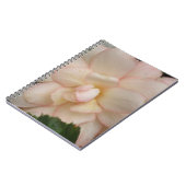 Carnet à fleurs de Begonia blanche (Côté gauche)