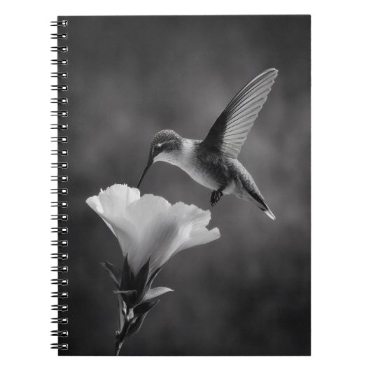 Carnet à fleurs de colibri (Devant)