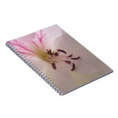 Carnet à fleurs de géranium (Côté Droit)