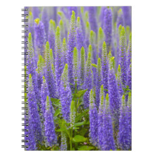 Carnet à fleurs violettes