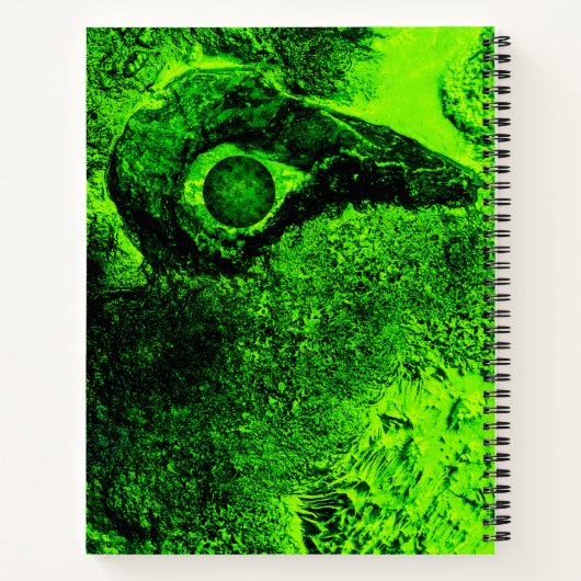 Carnet à la recherche de vert (Dos)