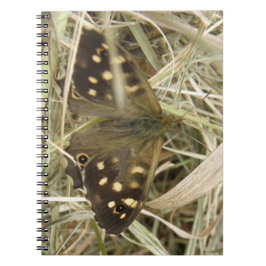 Carnet à papillon en bois (Devant)