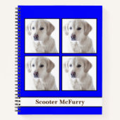 Carnet [À propos de mon chien] Dossiers d'vétérinaire, Jo (Devant)