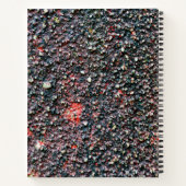 carnet à remuer à la canneberge (Dos)