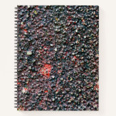 carnet à remuer à la canneberge (Devant)