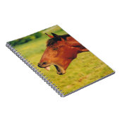 Carnet à rire (Côté Droit)