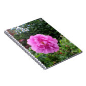 Carnet A Single Pink Flower (Côté Droit)