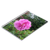 Carnet A Single Pink Flower (Côté gauche)