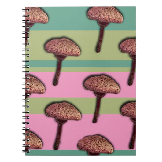 Carnet à spirale Champignons & Rayuresok (Devant)