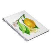 Carnet à spirales Citron “Limonier ferraris” (Côté Droit)