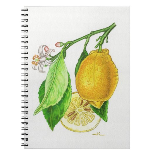 Carnet à spirales Citron “Limonier ferraris” (Devant)