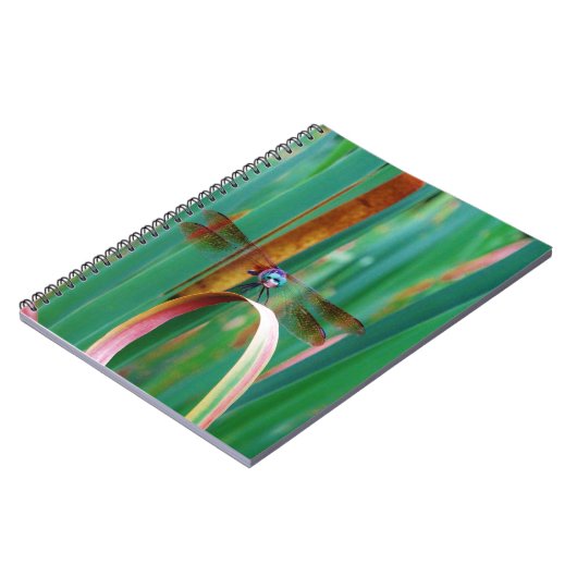 Carnet A teal Eyed Dragonfly with cattails (Côté gauche)