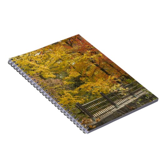 Carnet aa (Côté Droit)