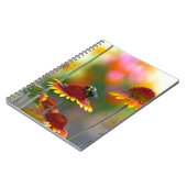 Carnet Abee sur Gaillardia (Côté gauche)
