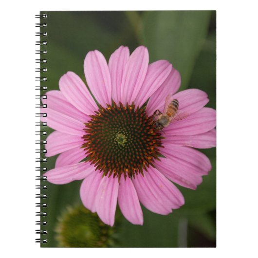 Carnet Abeille à Miel sur Fleur en Cône (Devant)