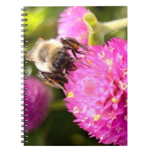 Carnet Abeille et fleurs (Devant)