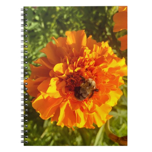 Carnet Abeille et fleurs (Devant)