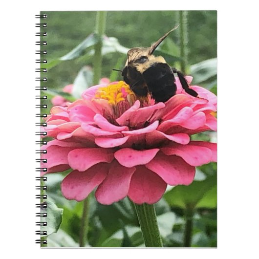 Carnet Abeille et fleurs (Devant)
