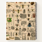 Carnet Abeille Insecte Bug Wasp Nature Peinture des abeil (Dos)