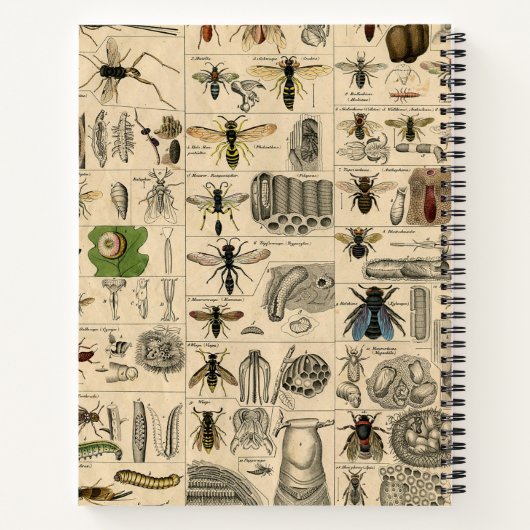 Carnet Abeille Insecte Bug Wasp Nature Peinture des abeil (Dos)