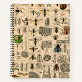 Carnet Abeille Insecte Bug Wasp Nature Peinture des abeil (Devant)