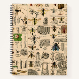 Carnet Abeille Insecte Bug Wasp Nature Peinture des abeil