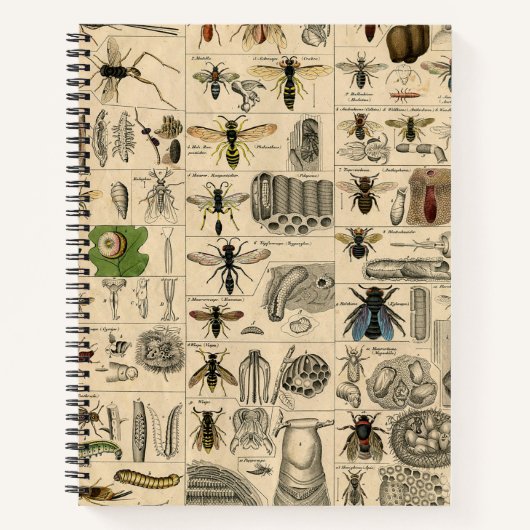 Carnet Abeille Insecte Bug Wasp Nature Peinture des abeil (Devant)