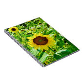 Carnet Abeille sur tournesol jaune (Côté Droit)