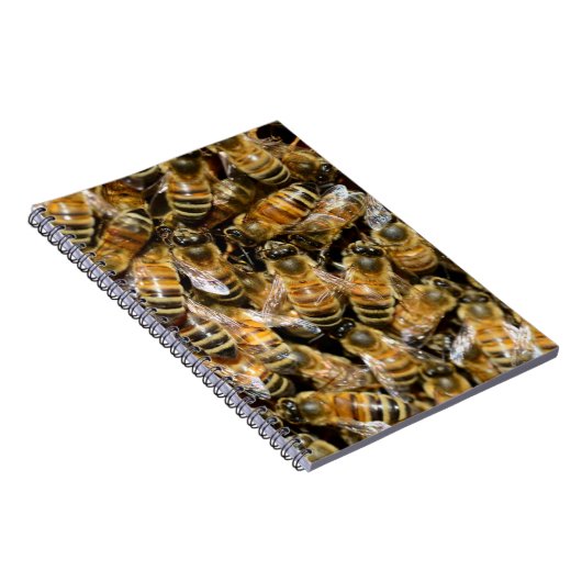 Carnet Abeilles (Côté Droit)