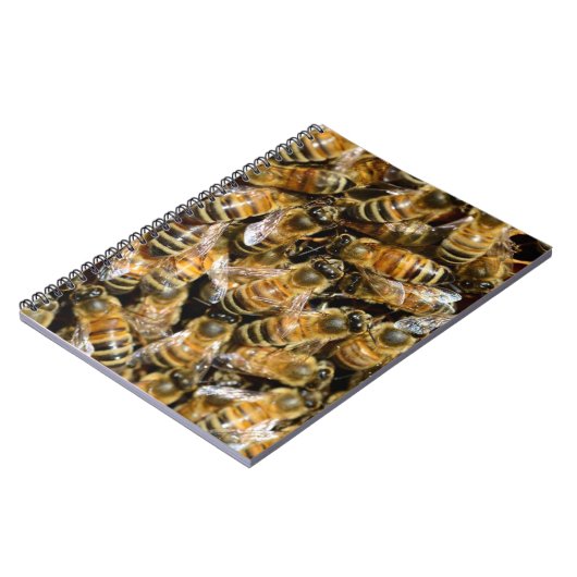 Carnet Abeilles (Côté gauche)