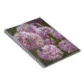 Carnet Abeilles 2014 d'été (Côté Droit)