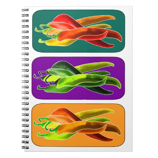 Carnet Abstrait des chiles (Devant)