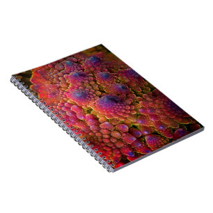 Carnet Abstrait fractal psychédélique