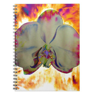 Carnet Abstraite peinture d'orchidée tropicale fleurie