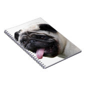 Carnet Accessoires photo Carlin blanc main, ajouter des n (Côté Droit)