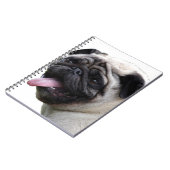 Carnet Accessoires photo Carlin blanc main, ajouter des n (Côté gauche)