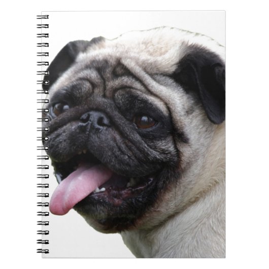 Carnet Accessoires photo Carlin blanc main, ajouter des n (Devant)